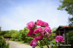 明石海峡公園１