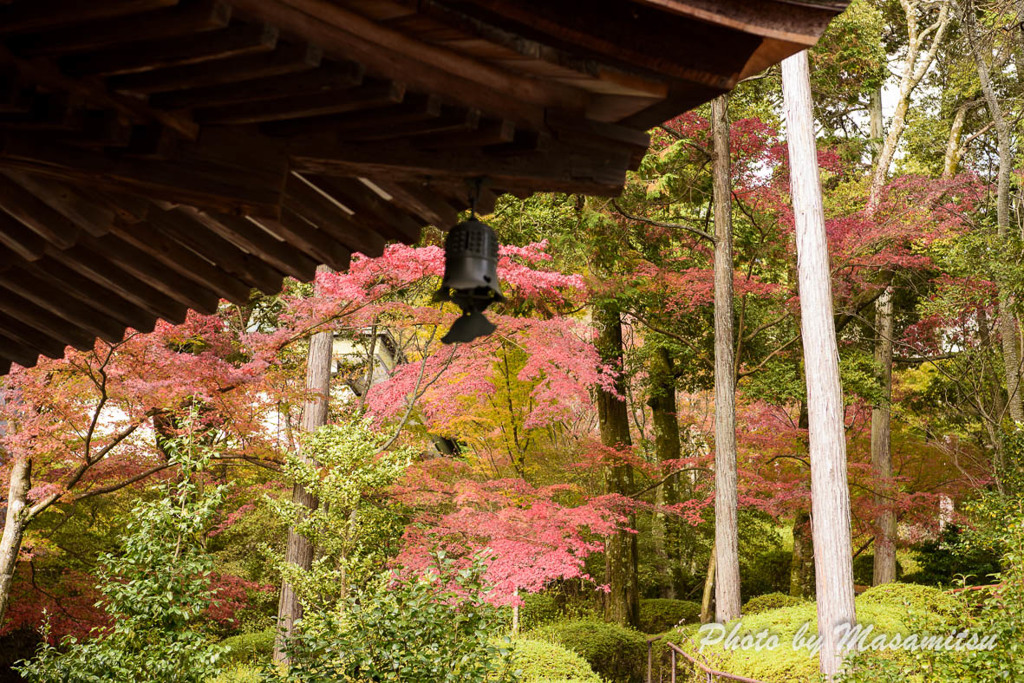 石山寺紅葉９