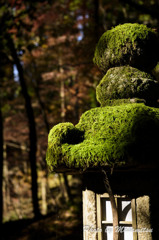 石山寺　石灯篭