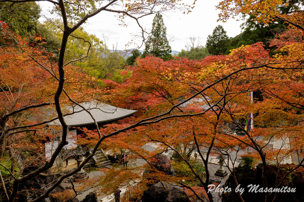 石山寺紅葉４