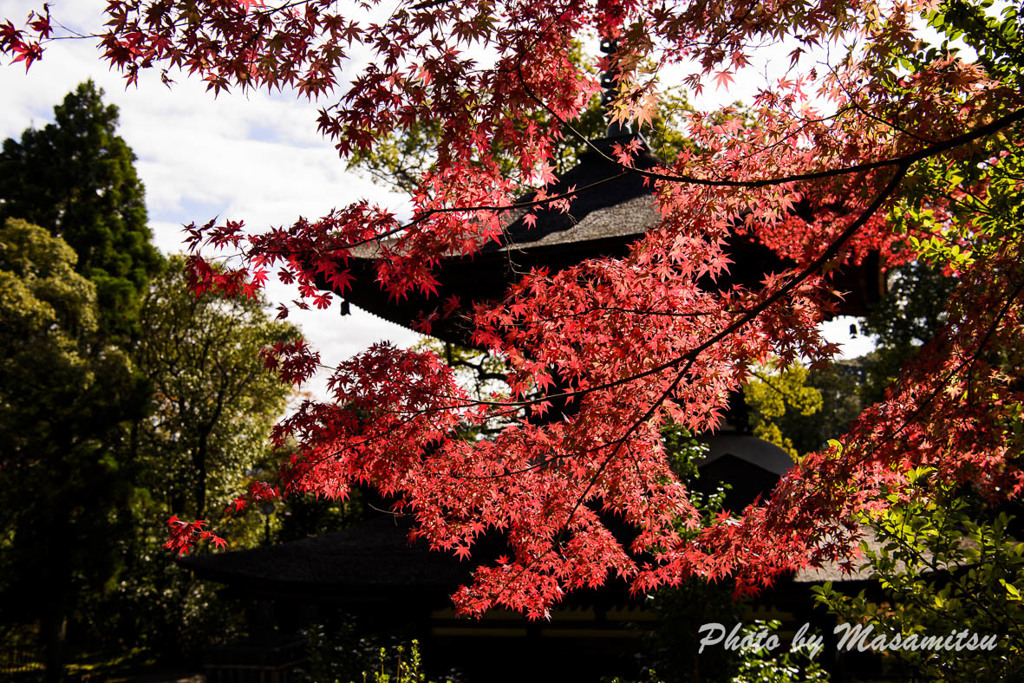 石山寺紅葉８