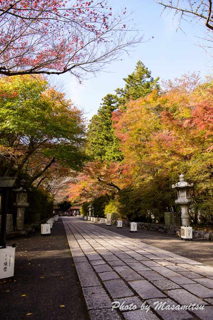 石山寺紅葉１０