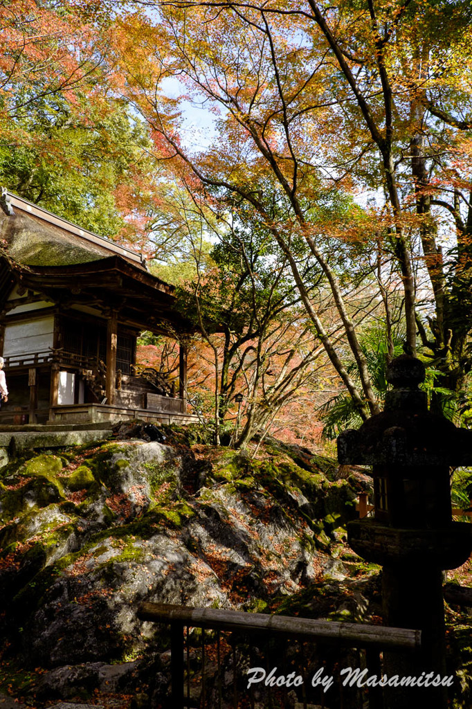 石山寺紅葉３