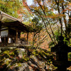 石山寺紅葉３