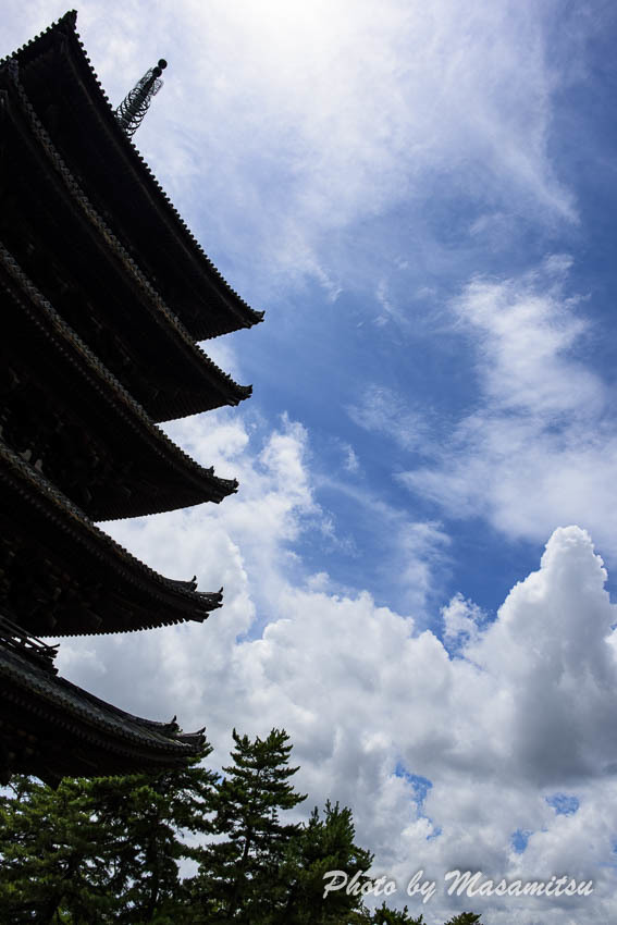 夏の空