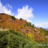 白山白川郷ホワイトロード４