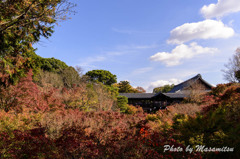 東福寺　紅葉３