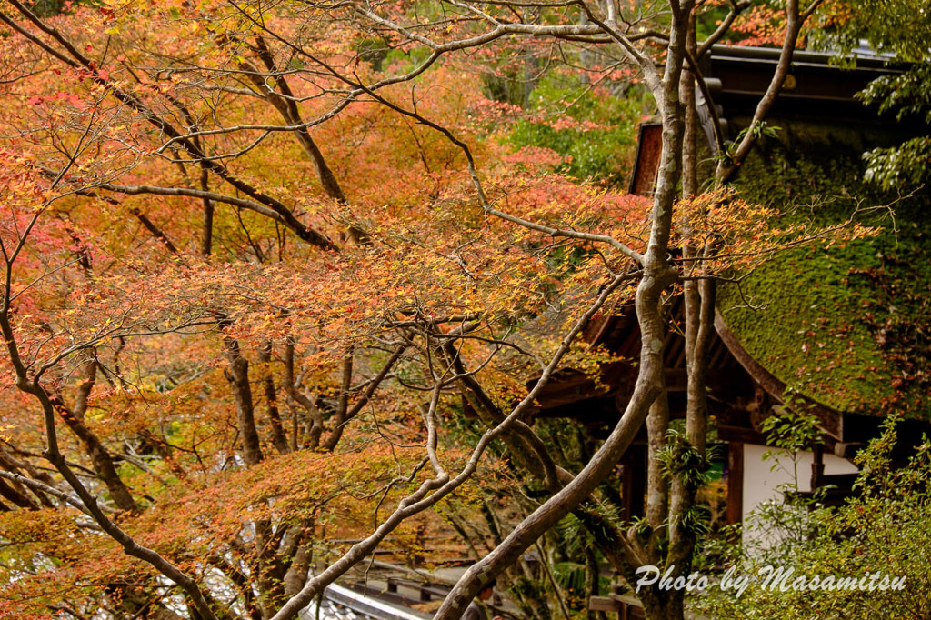 石山寺紅葉１