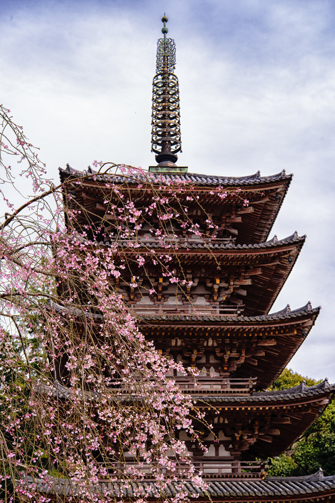 京都　醍醐寺３