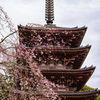 京都　醍醐寺３