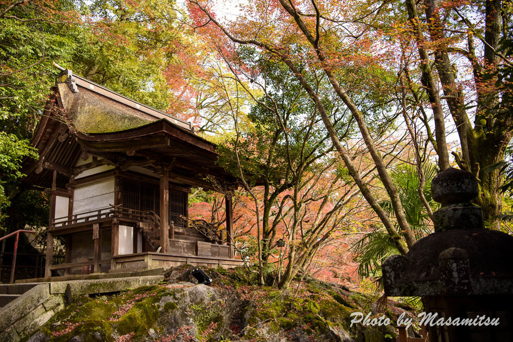 石山寺紅葉１２