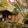 石山寺紅葉１２