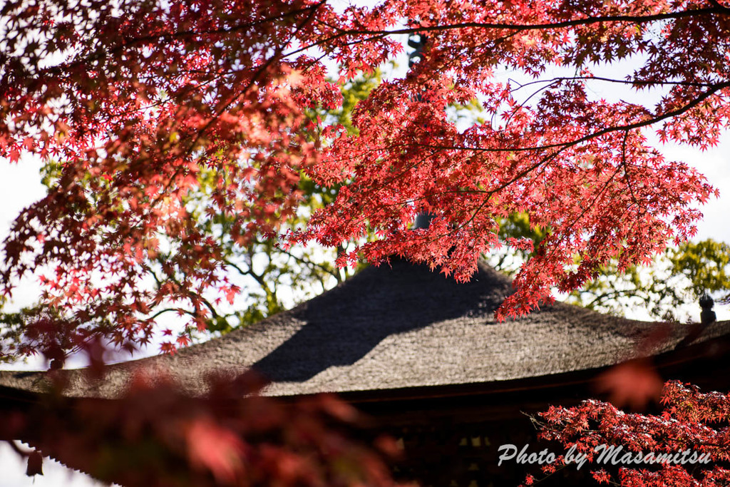 石山寺紅葉５