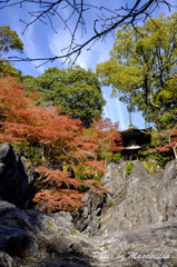 石山寺紅葉２