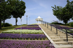 明石海峡公園　花壇