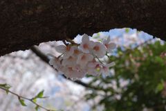 2010年　春　3350