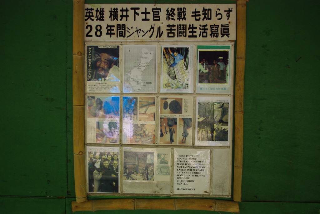 IMGP2329