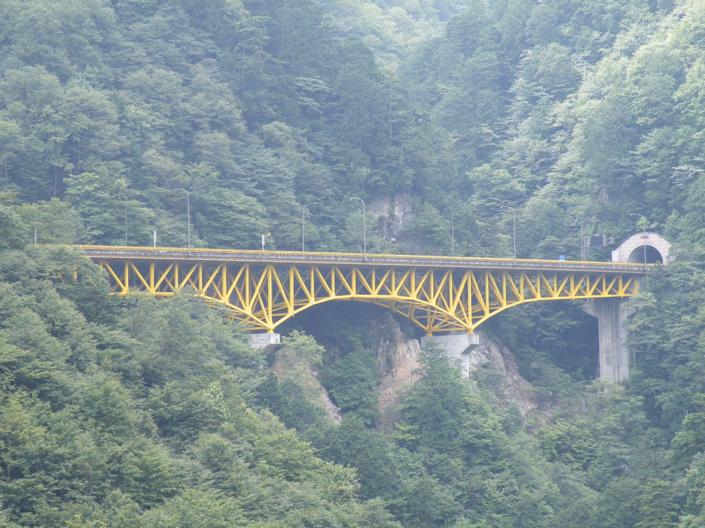 雁坂橋002