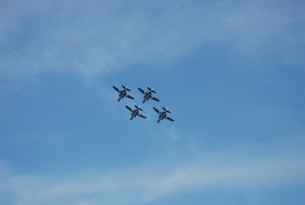 2008入間航空祭　ブルーインパルス(前日予行練習)