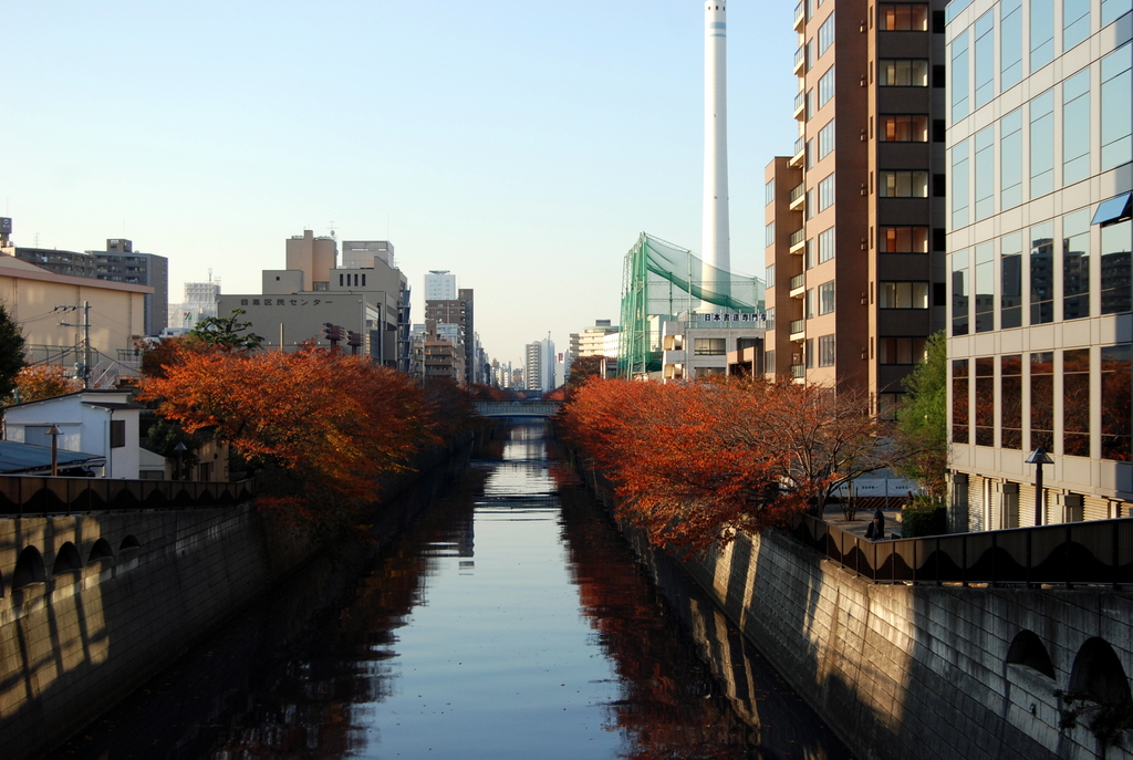 目黒川