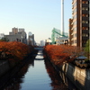 目黒川