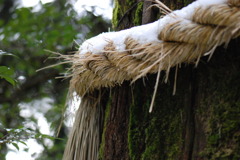 雪残る箱根神社