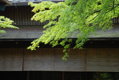 箱根美術館