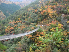 紅葉にかかる橋