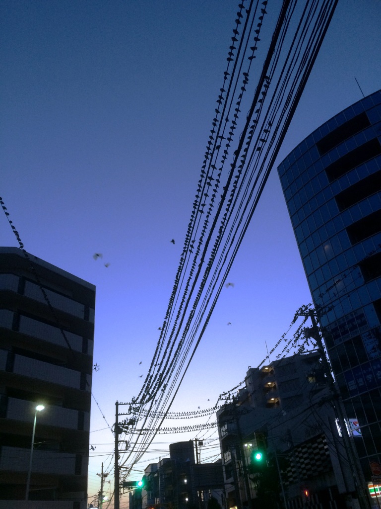 列んでます