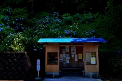 帰郷