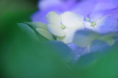 一雨ごとに。。