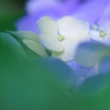 一雨ごとに。。