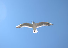 青空