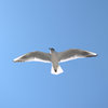 青空