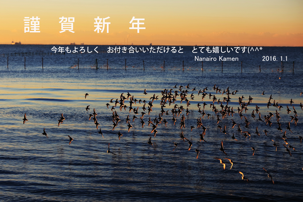あけましておめでとうございます