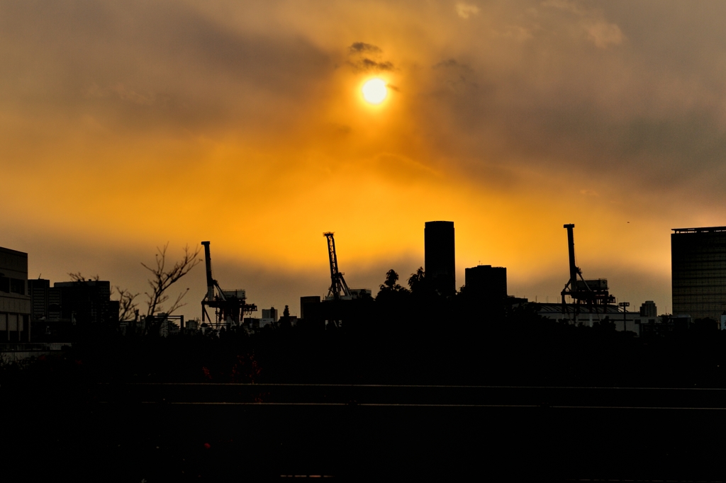 お台場夕景