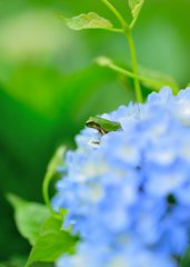 ふわふわ空間