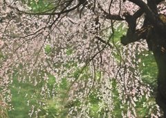 待ちわびて