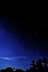 十六夜の月灯りに照らされて