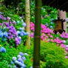長谷寺にて