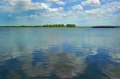 遊水地
