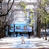 名プレーヤー