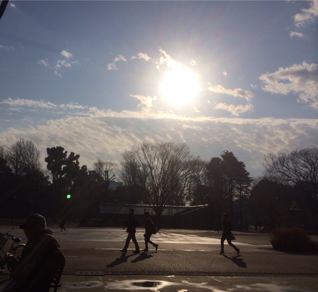 休日の朝
