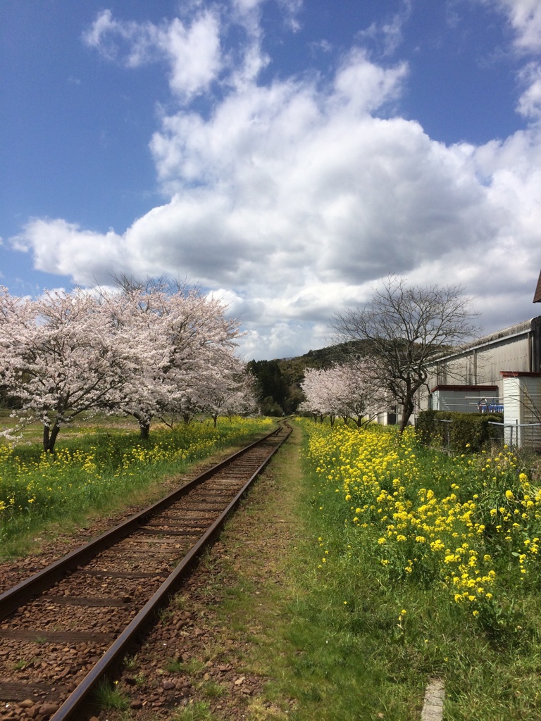 行く春