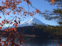 目がぱっちり(^^*