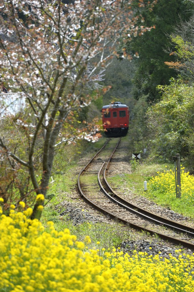 春列車