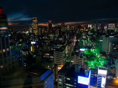 秋の夜景