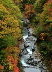 福島の秋