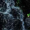 Splash