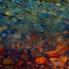Clear Stream